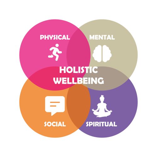 Infographic showing the components of holistic wellbeing