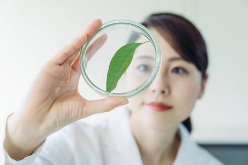 plant based immune research biotechnology future