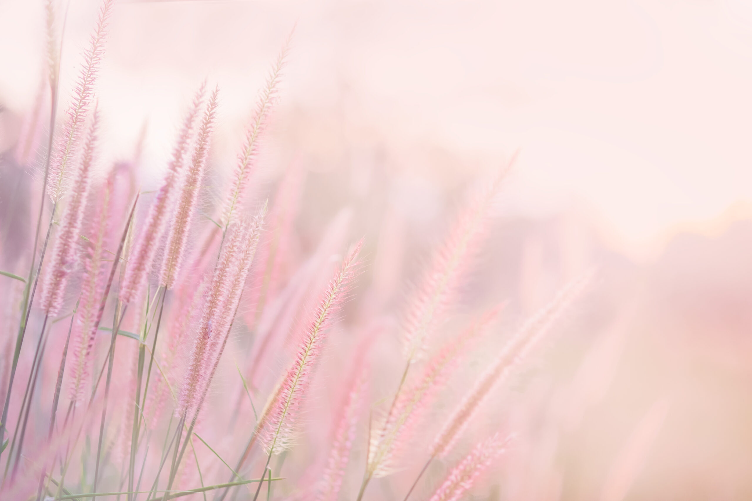 Natural balance and vitality