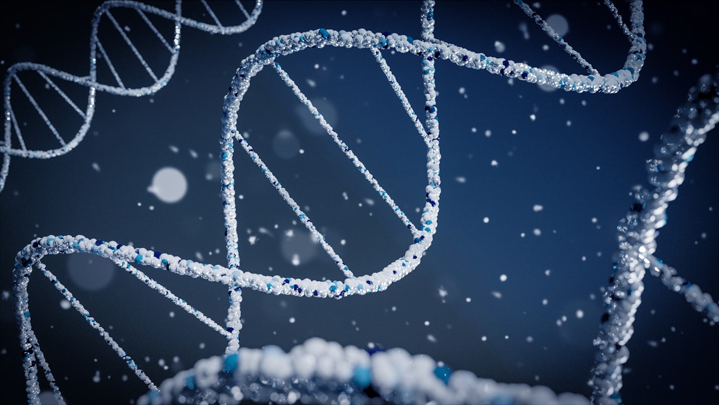 Intelligent Molecules – The Future of Natural Immune Balance