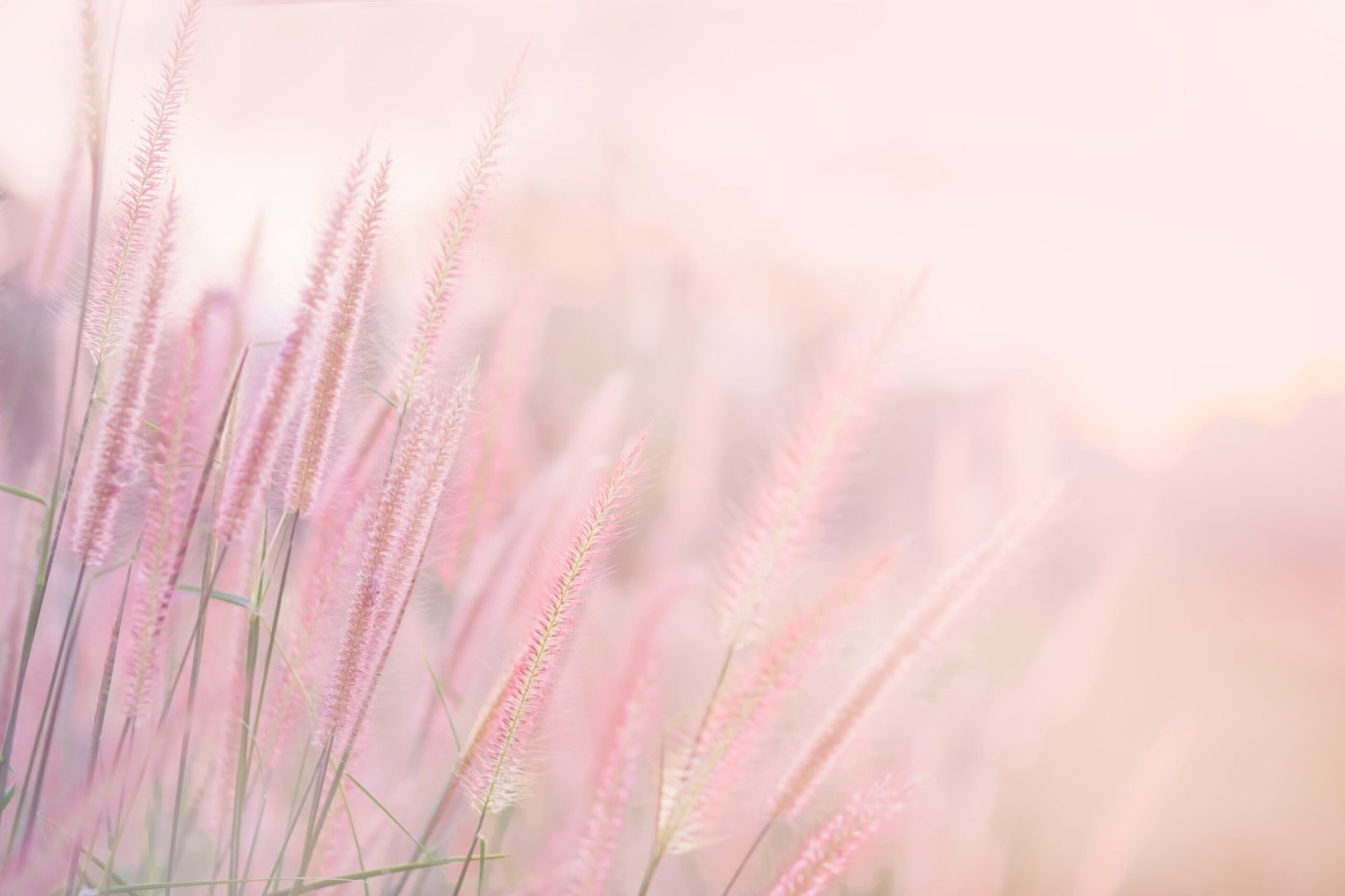 Natural balance and vitality
